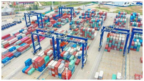 海南前7個(gè)月貨物貿(mào)易進(jìn)出口超1300億元，代理服務(wù)助力亮眼“成績(jī)單”