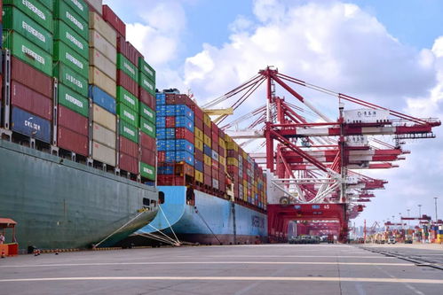 吞吐量之外 山東港口以“新質(zhì)服務(wù)”開(kāi)辟發(fā)展新路